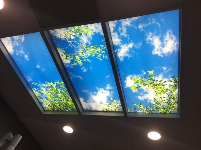 mebane-dental-office-ceiling-scenes